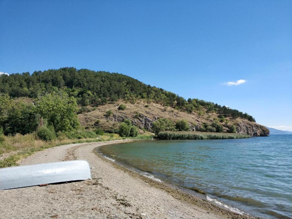 Madox Apartment Ohrid Bagian luar foto