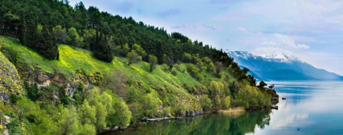 Madox Apartment Ohrid Bagian luar foto