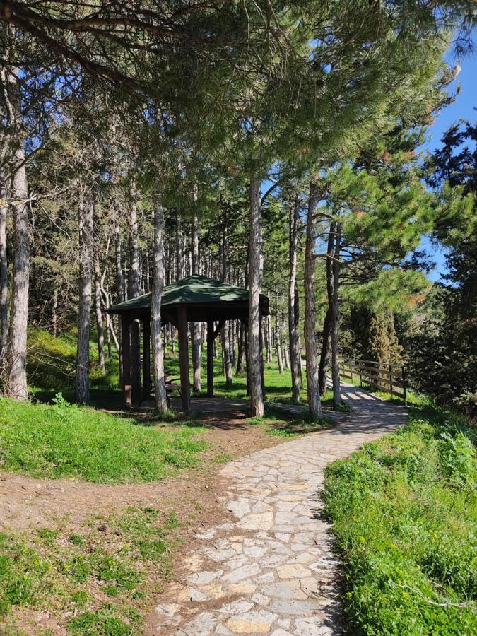 Madox Apartment Ohrid Bagian luar foto