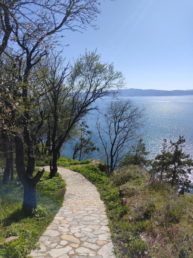 Madox Apartment Ohrid Bagian luar foto