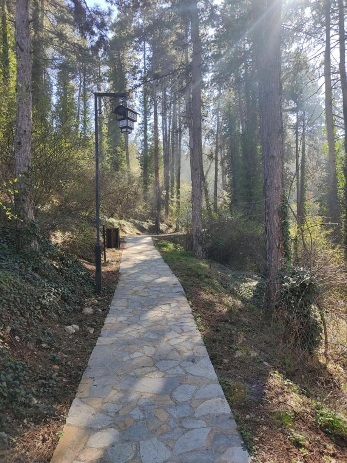 Madox Apartment Ohrid Bagian luar foto