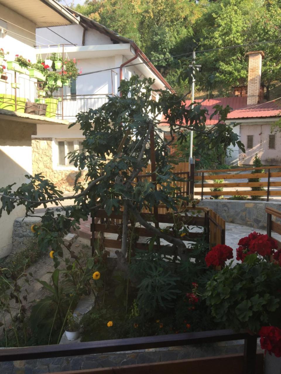 Madox Apartment Ohrid Bagian luar foto